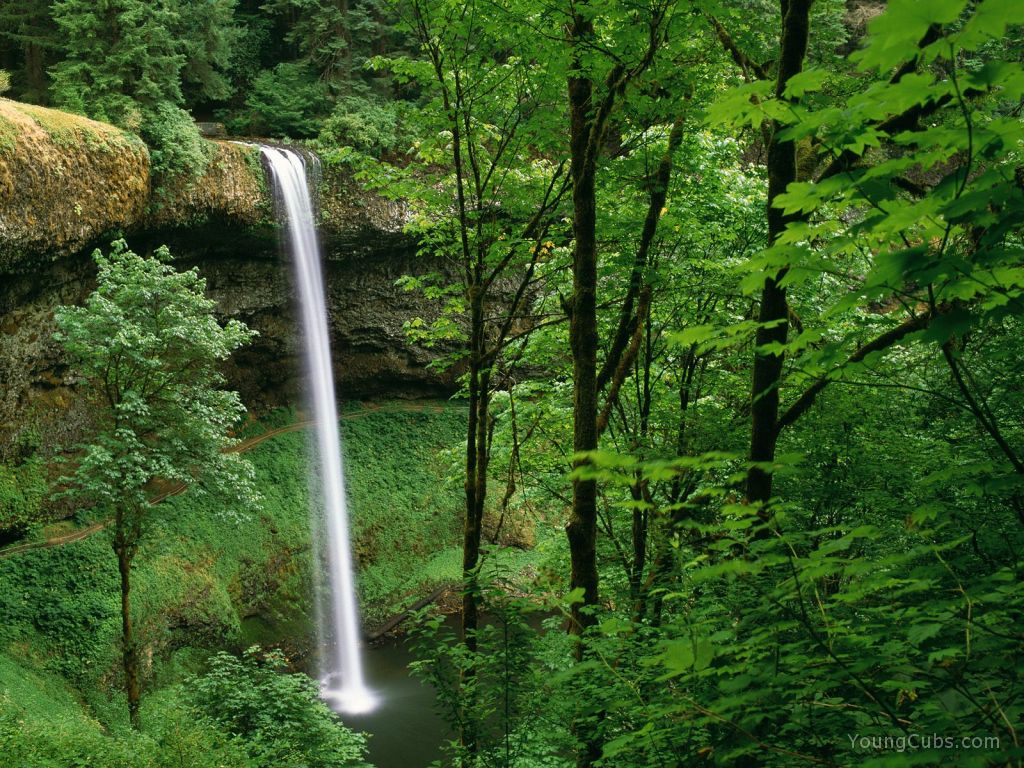 Silver Falls State Park, Oregon